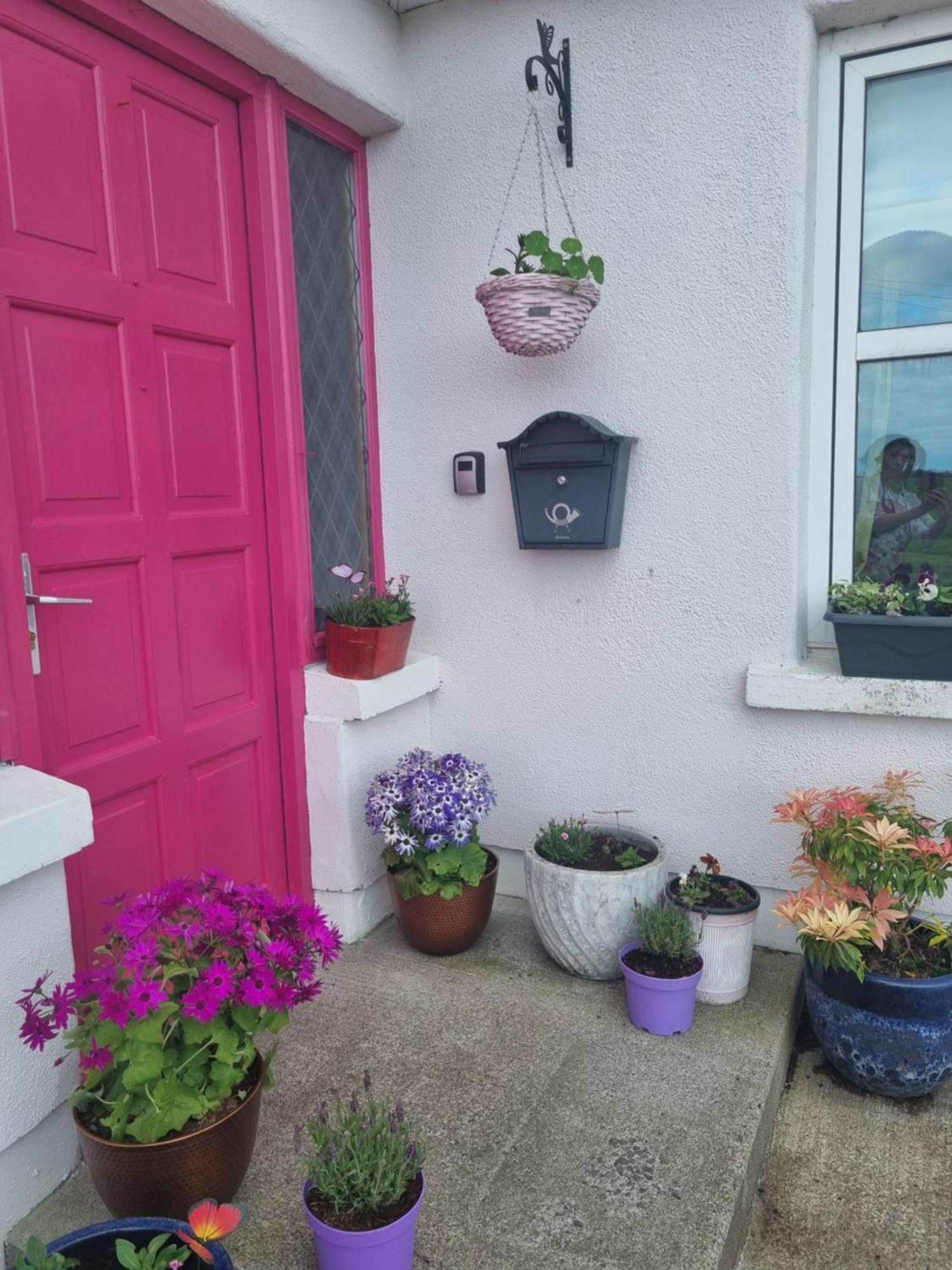 Ferienwohnung The Pink Door Killala Exterior foto